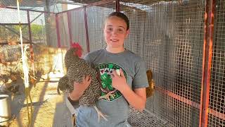 California 4-H State Field Day Film Festival Entry