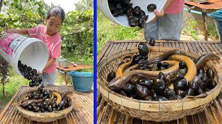 Smart girl Pich cook river snails and eel fish with country style