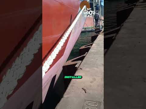 Why Ships Use Rat Guards at Port #shorts