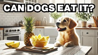Can Dogs Eat Pineapple? Explained