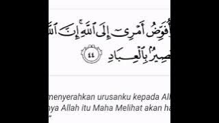 Surah Ghafir Ayat 44