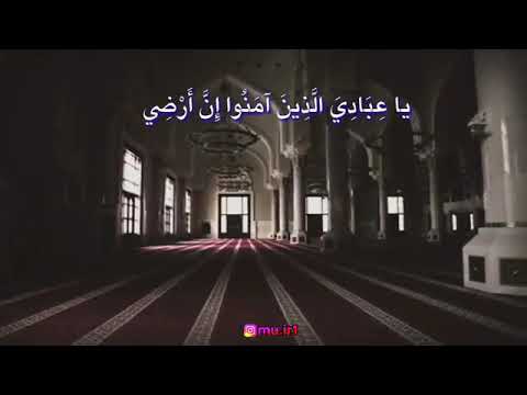 حالات واتس اب عبد الباسط عبد الصمد كل نفس ذائقة الموت 