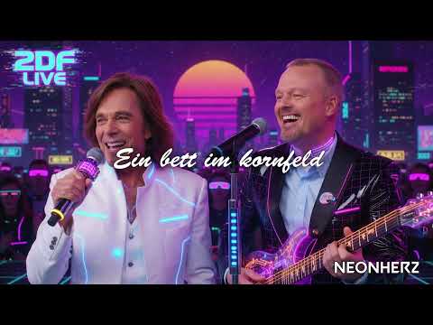 Stefan Raab und Jürgen Drews singen zusammen Ein Bett im Kornfeld Cover (deutsche schlager)