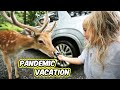 Pandemic Vacation to Ottawa