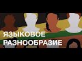 Лекция «Языковое разнообразие Северного Кавказа  от общего к частному»