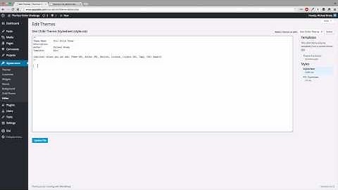 Remove Bottom Bar from the Divi Theme