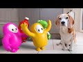 TOP 100 Fall Guys In Real Life Animation vs Dogs Compilation