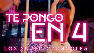 Los Súper Caracoles - Te Pongo En 4 (Video Lyric)