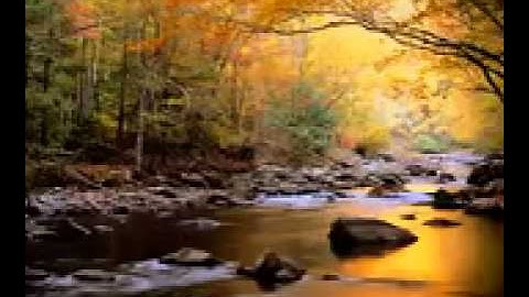 الشيخ ادريس ابكر قراءة  تفوق الخيال سورة طه