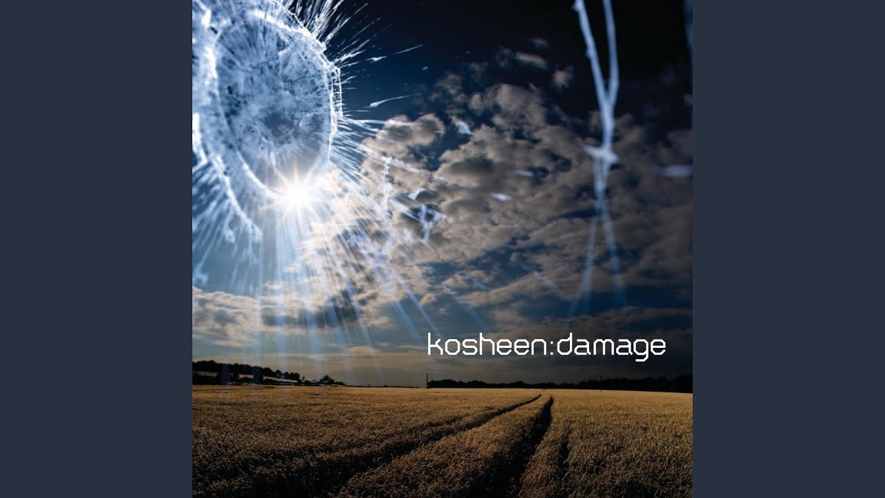 Kosheen. Kosheen damage. Kosheen damage. группа kosheen. Kosheen under fire.