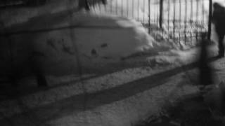 Memory shadows.wmv
