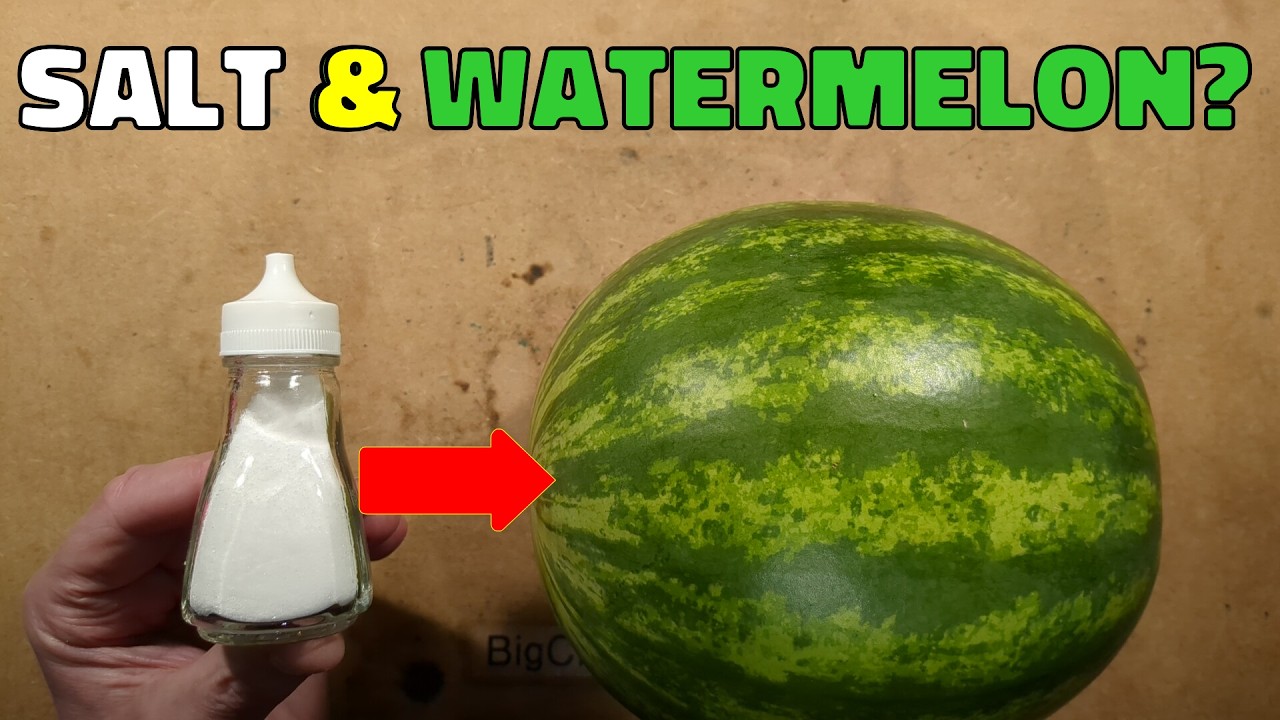 Salt on a watermelon?  The South Main Auto challenge