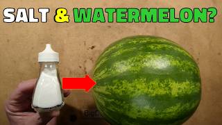 Salt on a watermelon?  The South Main Auto challenge