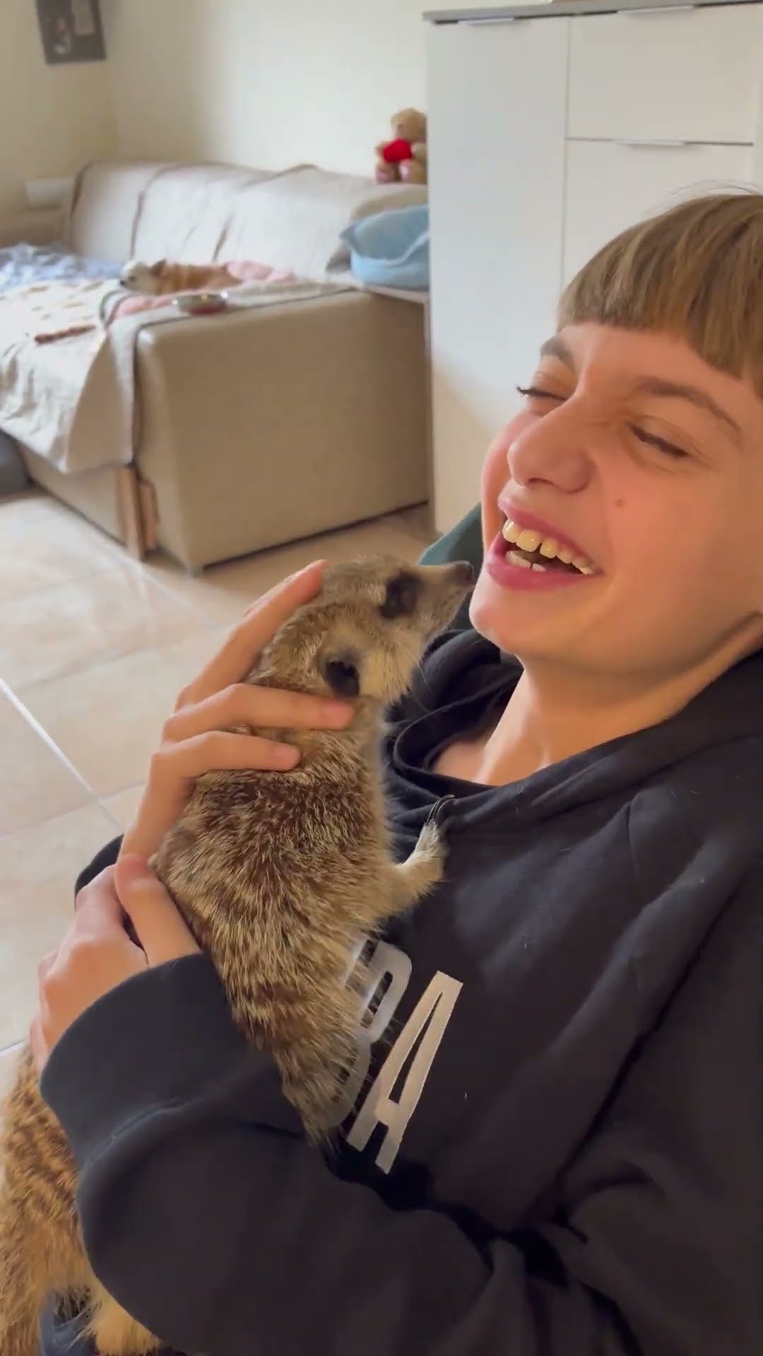 Meerkat Curious About the Gum in Boy's Mouth