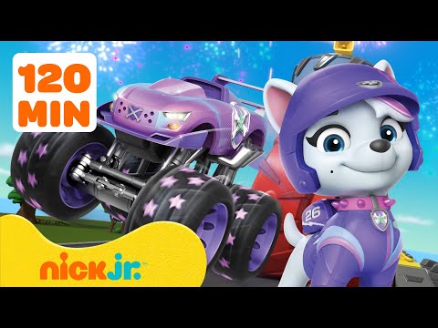 PAW Patrol Rescue