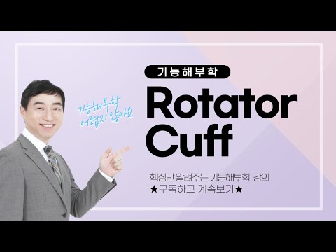 [기능해부학] Rotator Cuff 회전근개ㅣ송창호 교수