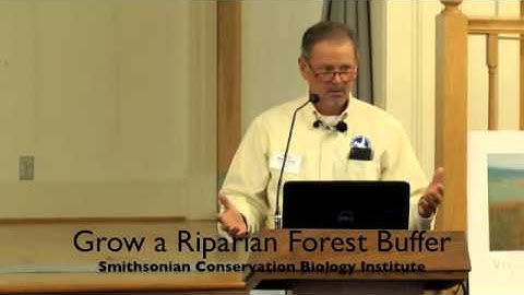 How to Grow a Riparian Buffer