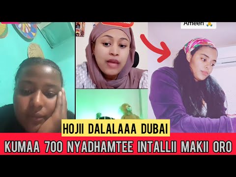 Waan Nama Gaddisisuu Mallaqaa Kumaa 700 Nyatanii Akkamittii Ustee Teysaaa Makiin Itti Kofaltee