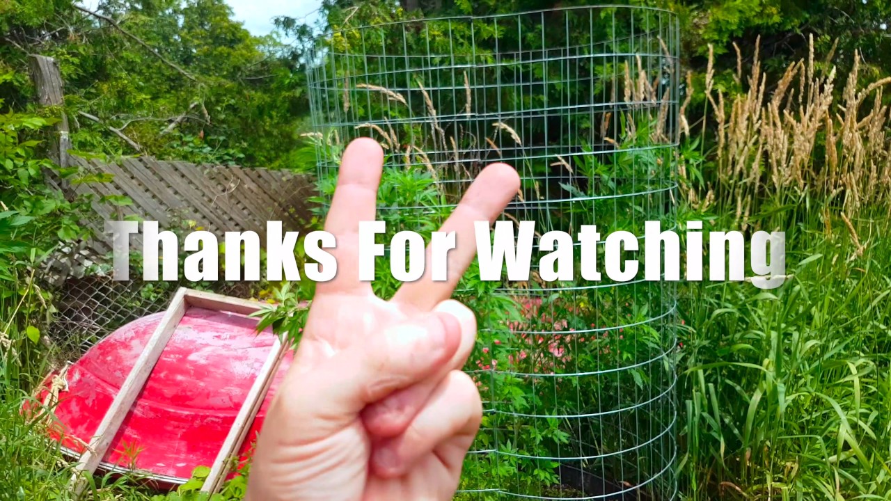 Outdoor Organic Cannabis Grow 2017 EP2