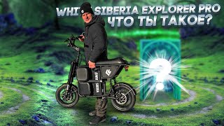 : White Siberia Zver,   Explorer PRO,    ?