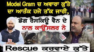 Model Gram ਚ ਅਵਾਰਾ ਕੁੱਤੇ ਦਾ ਆਤੰਕ ਹਜੇ ਤੱਕ ਜਾਰੀ, ਡੋਗ ਰੈਸਕਿਊ ਵੈਨ ਦੇ ਨਾਲ ਕਾਉਂਸਲਰ ਨੇ Rescue ਕਰਵਾਏ ਕੁੱਤੇ