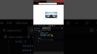 Add Reflection To An Image (add reflection to any HTML element) - HTML & CSS #shorts