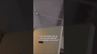 SIDEWALL FIRE SPRINKLER ACTIVATION WITHOUT THE DEFLECTOR 😳