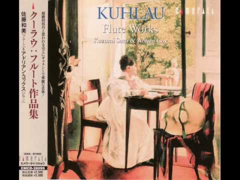 Kuhlau:Grande Sonate Concertante for Piano and Flute Op.85 (1st mov.) - Kazumi Sato