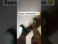 19 січня 2026 р.