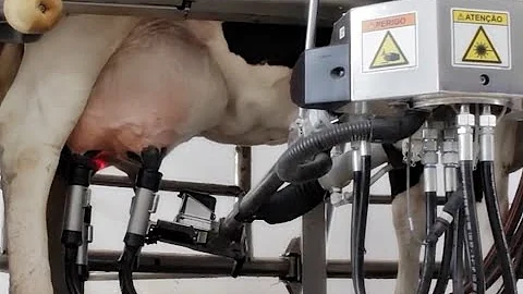 Quanto custa uma ordenha robotizada?