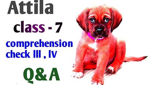 Attila | class 7 Attila chapter 1 | comprehension check Question Answer lll & lV  class 7 |