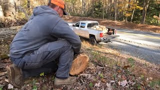 Roadside logging 2022 has begun