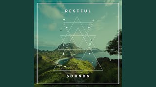 Birds Fly Away YouTube