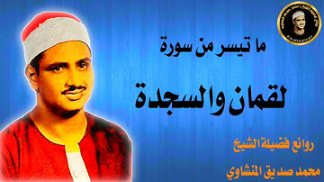أفضل تلاوه منقاه للشيخ المنشاوي | ما تيسر من سورة لقمان والسجدة | روائع فضيلة الشيخ محمد صديق