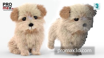 Animated Puppy 3D Model with card hair: Download - 3ds Max | PROmax3D