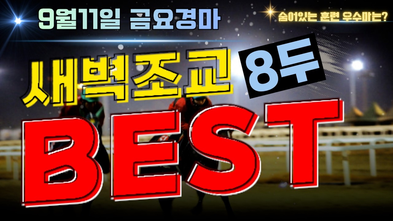 [굽소리경마] 어려운 부산경마 해법은? 배당 나올 구간이 많습니다!! 승리 안길 훈련우수마 8두!!#새벽조교#부산경마#조교우수마#굽소리경마