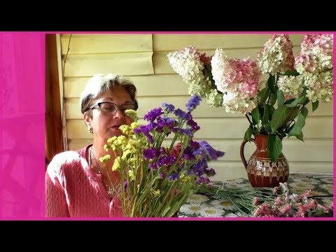 Сухоцветы статице и гортензия. Как засушить цветы?