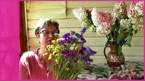Сухоцветы - статице и гортензия. Как засушить цветы?
