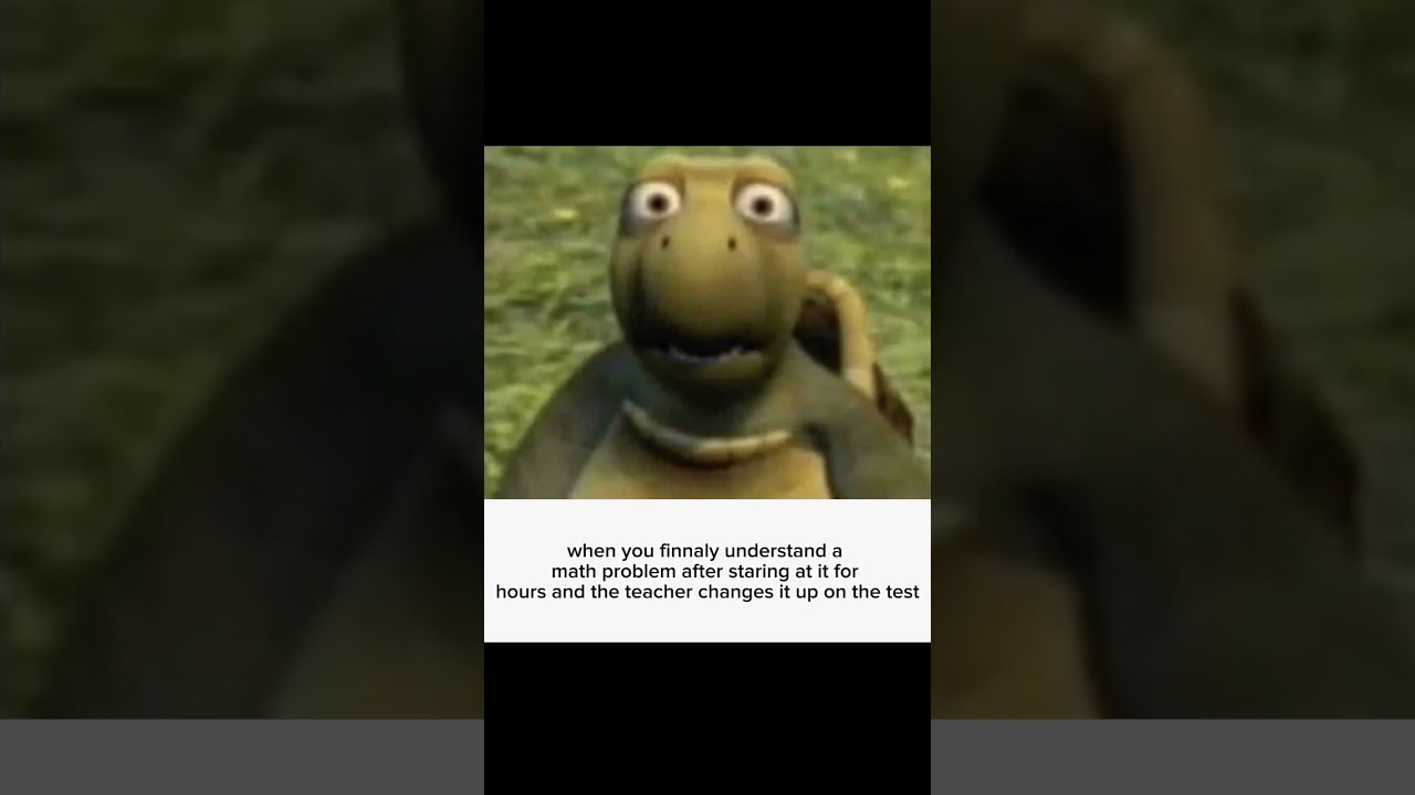 sad turtle meme 