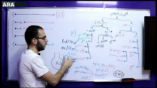 فيزيولوجيا الجهاز العصبي الذاتي (1) - Physiology of Autonomic Nervous System