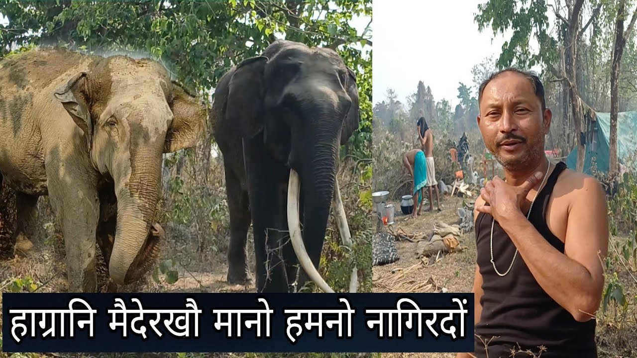 हाग्रानि मैदेरखौ हमनो नागिरदों मानि थाखाय ❓️