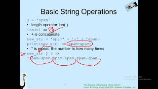 CS111 Python ch3 Part 2 Dr Raed 24032021