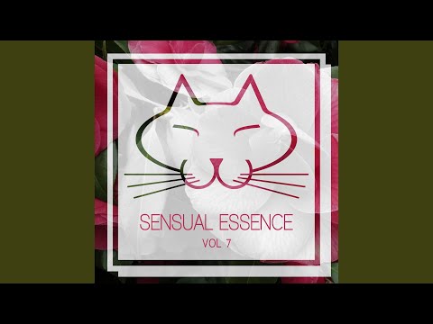 Lamyadon - Comfort