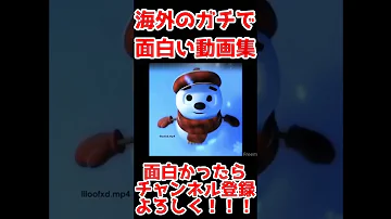 腹筋崩壊不可避 海外のガチで面白い動画集 Mp3