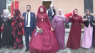 En Güzel Kürtçe Şarkilar (Kürtçe Halay Potpori) Ti̇ktokda Rekor Kirdi