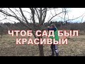 НА ДАЧЕ. Привожу сад в порядок.