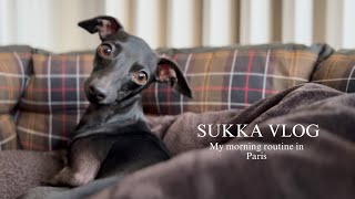 MY MORNING ROUTINE  Sukka The Italian Greyhound