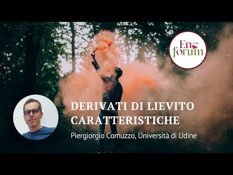 Derivati di lievito: produzione, composizione e caratteristiche tecnologiche