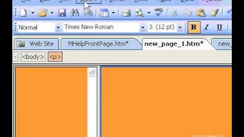 Microsoft Office FrontPage 2003 Add a check box to a form