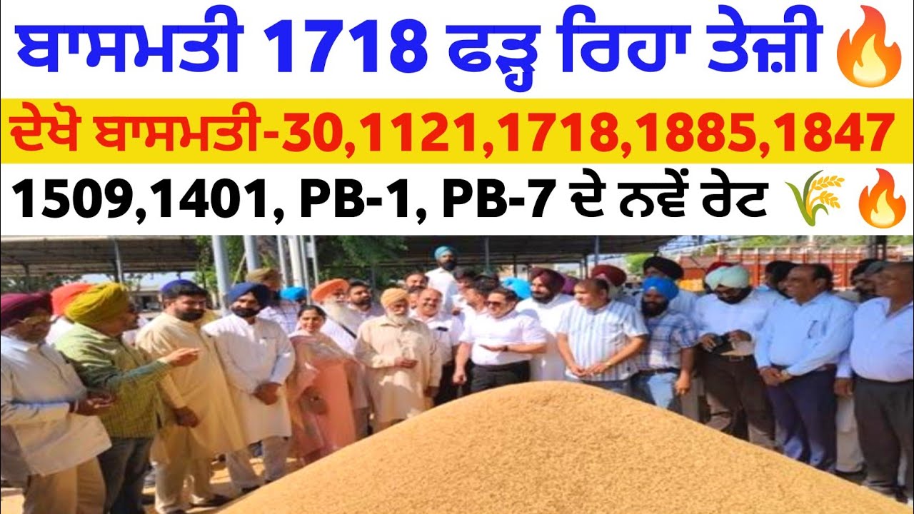 1718 ਨੇ ਫੜੀ ਤੇਜੀ basmati rate 1121 1718 1885 1847 1509 1401 Pb-1 Pb-7 taaja mandi bhav today tmbinfo